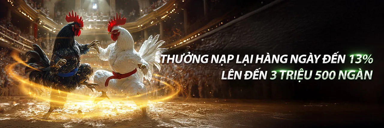 Hình ảnh nền các trận đấu Daga88 Trận 54 kịch tính